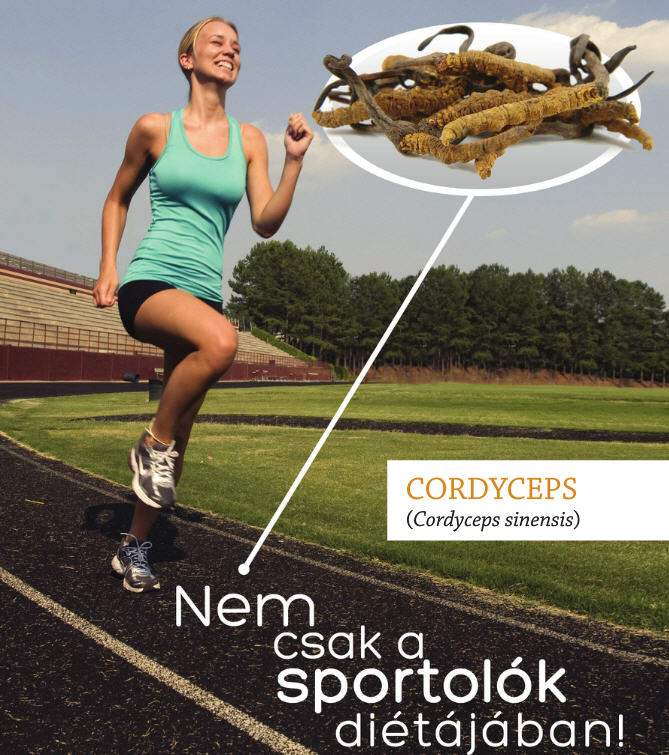 cordyceps és a sport