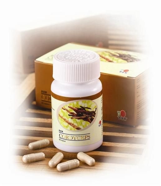 DXN Cordyceps sinensis