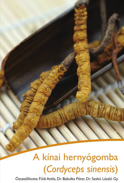 Cordyceps gyógyhatású gomba