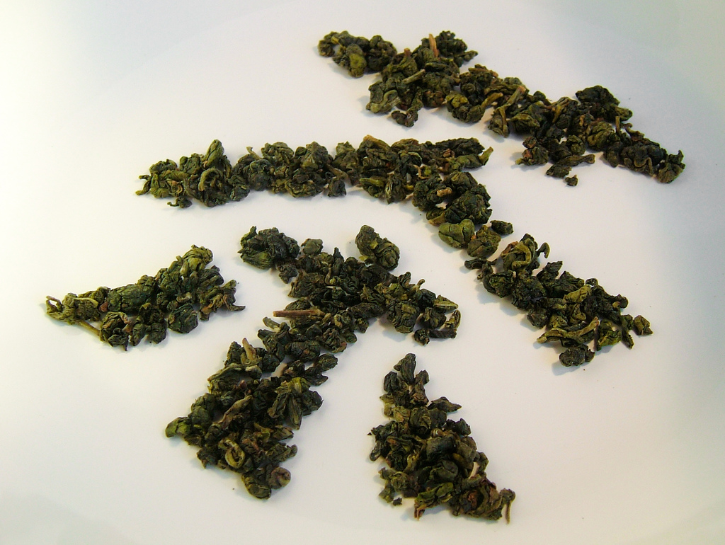 tea Camellia sinensis