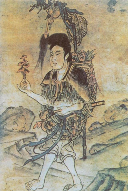 Shennong konyvrajz